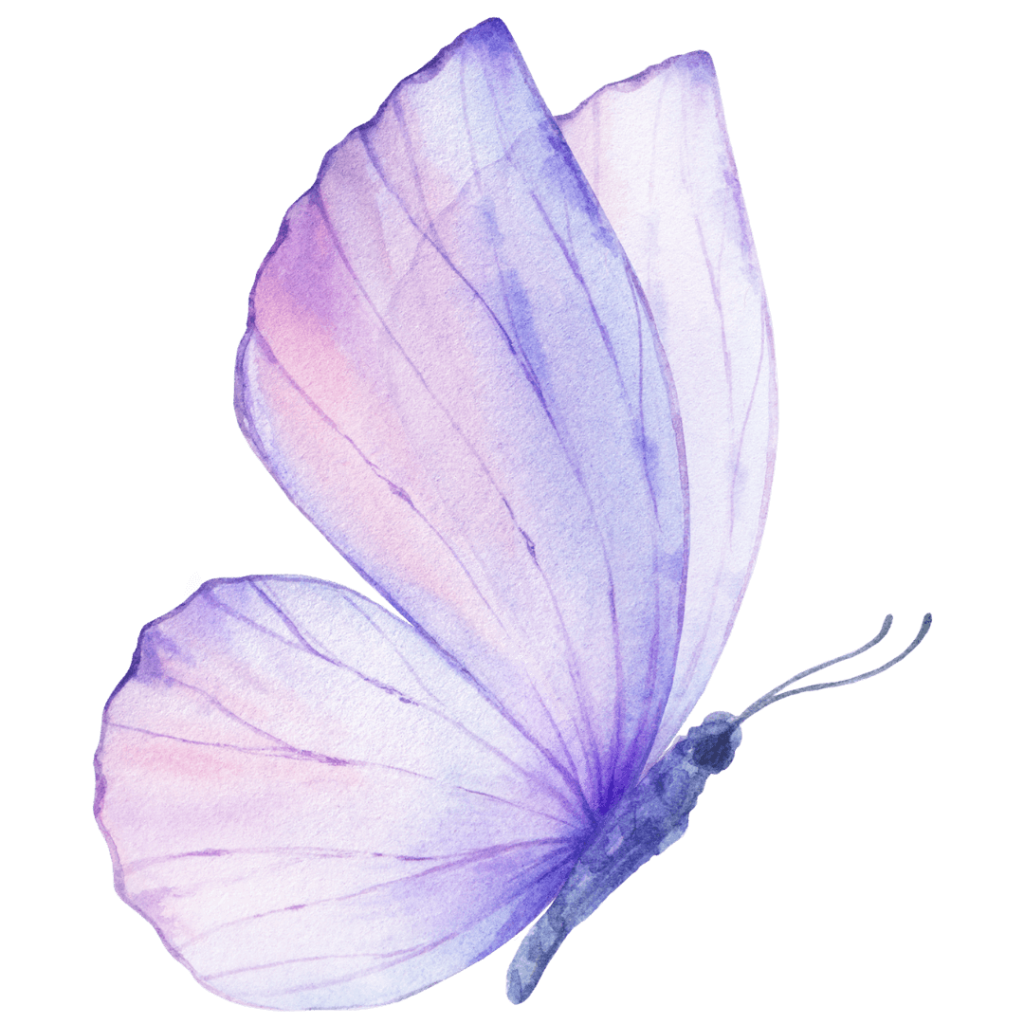 Herboristería LavandaBIO Vigo